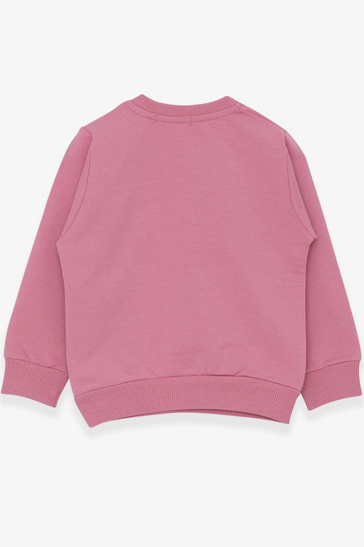 BRE Breeze Girl Child Sweatshirt with Embroidery Sequins 1-4 Years, Rose Pink - Villajoyosa