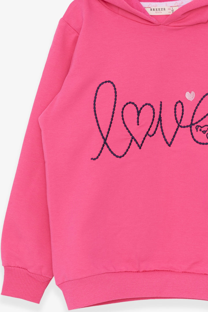 BRE Breeze Girl Child Sweatshirt Embroidered Text Printed 2-6 Years, Pink - Blainville