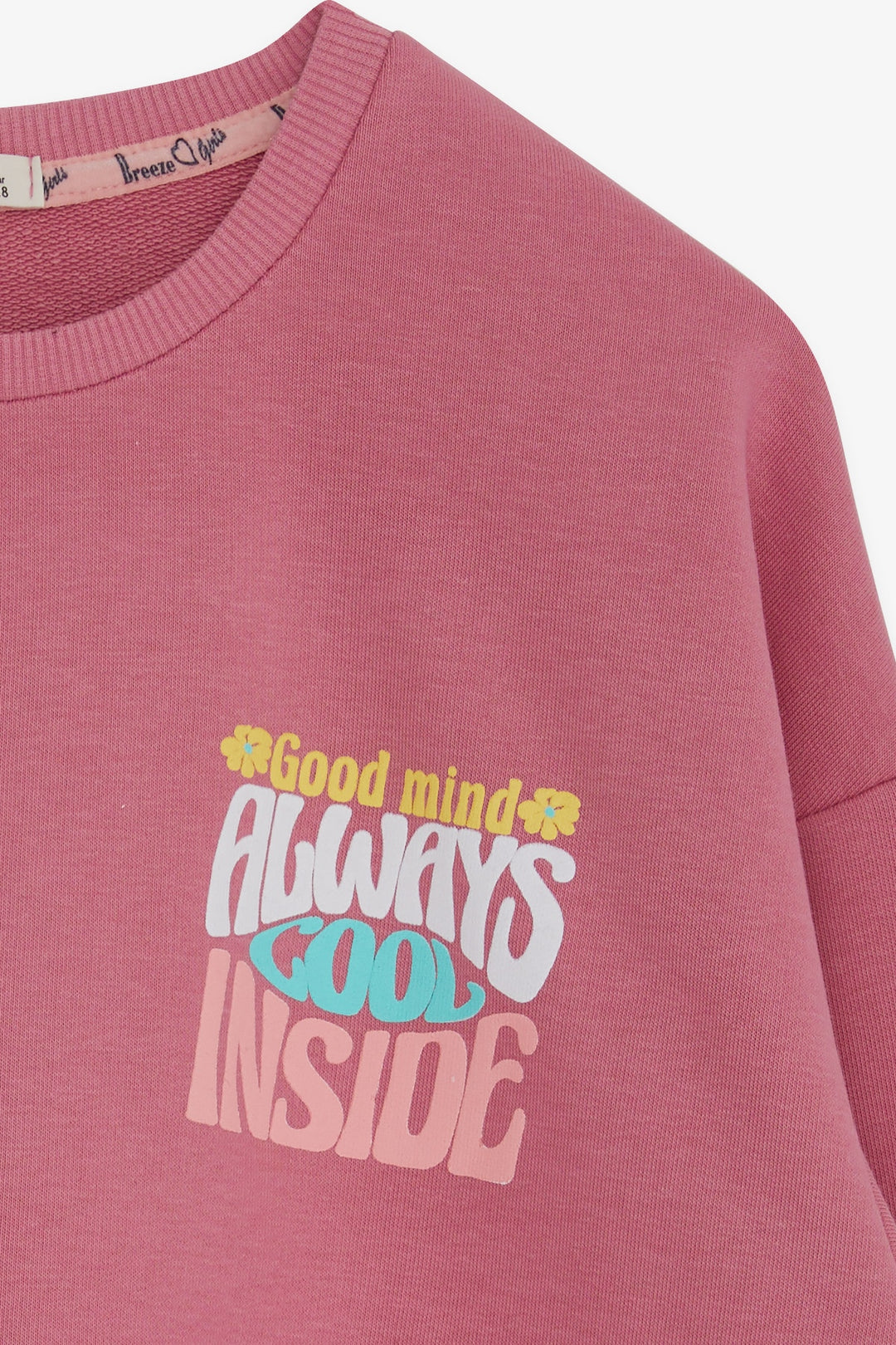 BRE Breeze Girl's Sweatshirt with Colorful Printed Text, 84 Years, Plum Color - Fresno