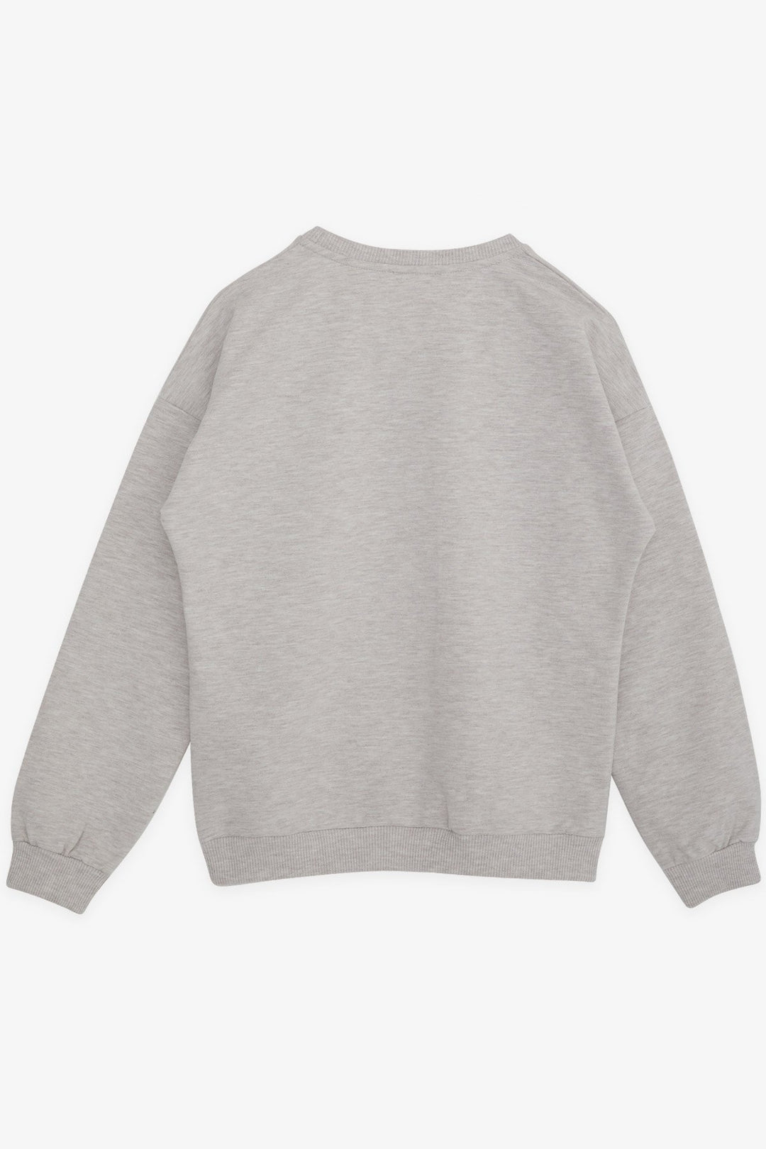 BRE Breeze Girl Child Sweatshirt Dumbfounded Girl Printed 94 Years, Beige Melange - Kutaisi
