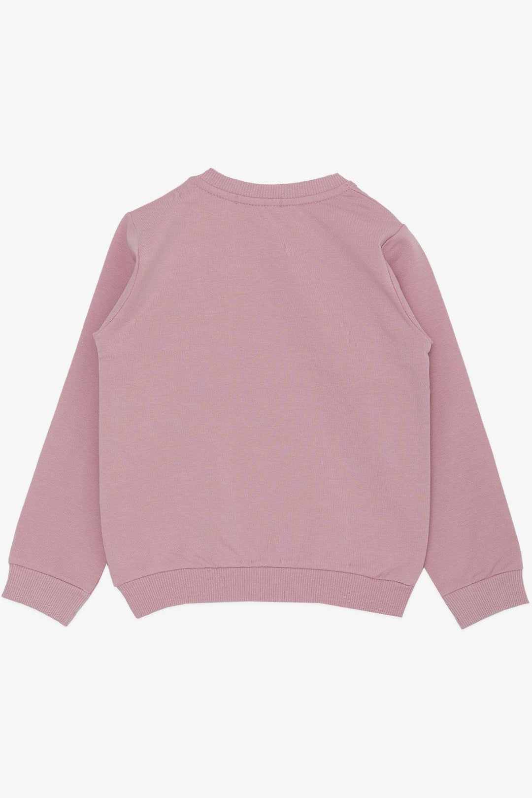 BRE Breeze Girl Child Sweatshirt Cute Fawn Crowned Fawn Printed 1.5-5 Years, Lilac - Watertown Town