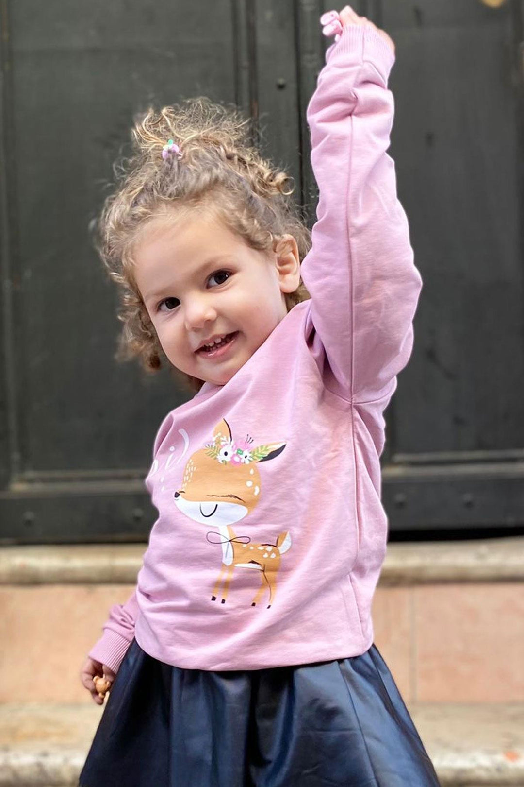 BRE Breeze Girl Child Sweatshirt Cute Fawn Crowned Fawn Printed 1.5-5 Years, Lilac - Watertown Town