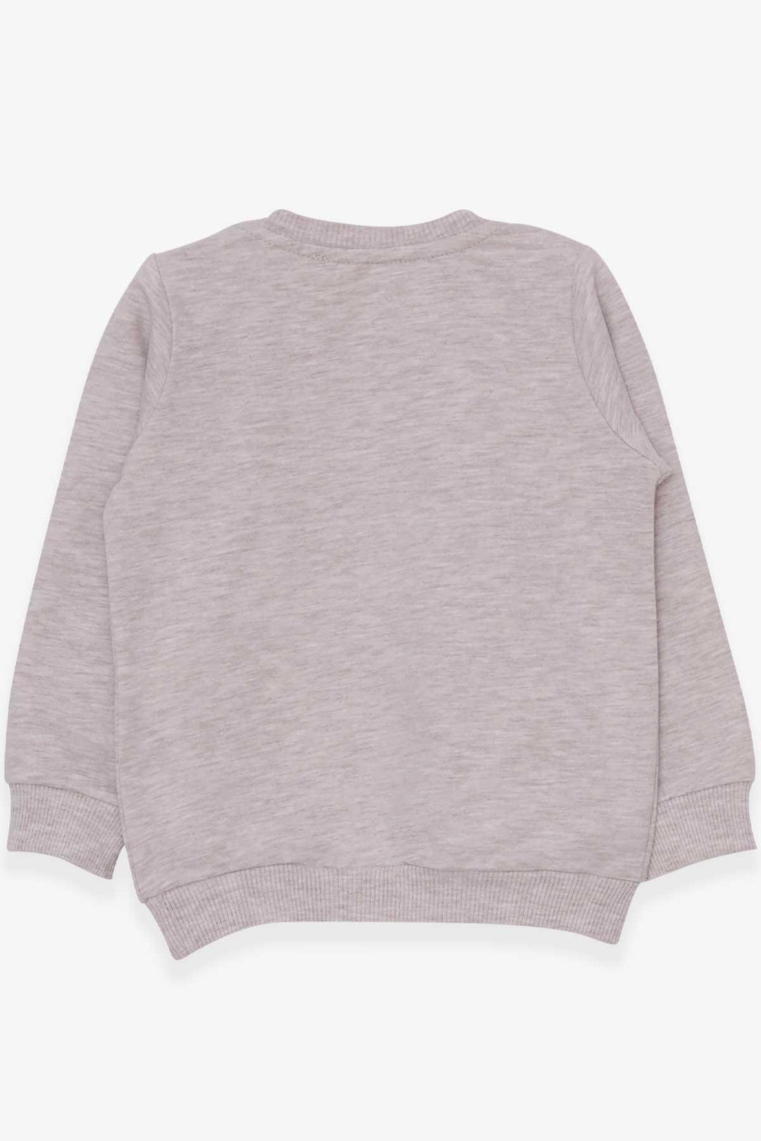 BRE Breeze Girl Child Sweatshirt Cute Animal Printed 1.5-5 Years, Beige Melange - Aranjuez