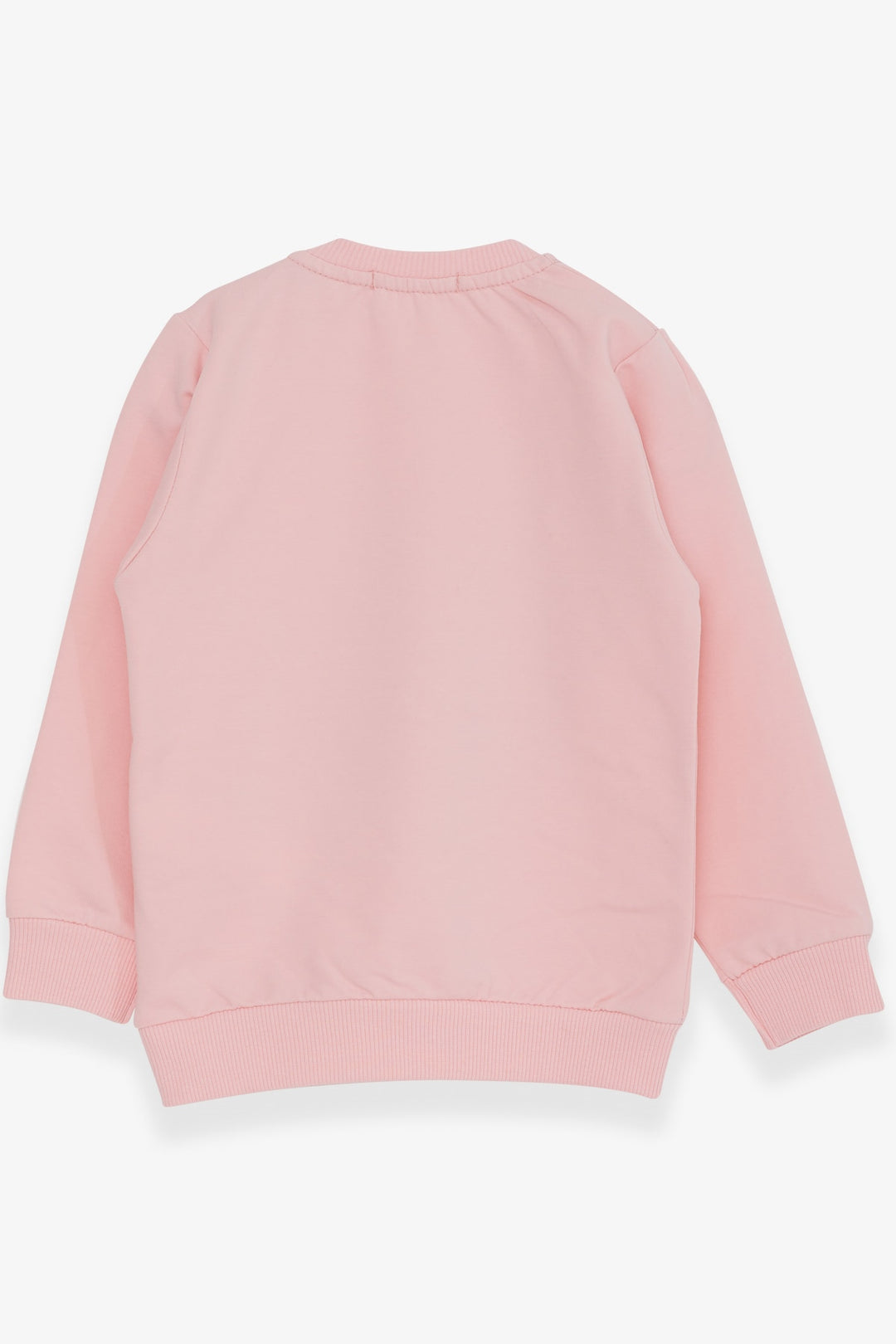 BRE Breeze Girl Child Sweatshirt Cute Girl Printed 1.5-5 Years, Powder - Nordhorn