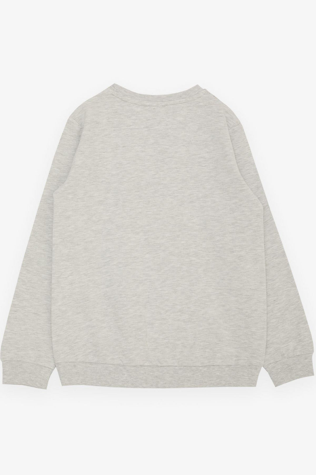 BRE Breeze Girl Child Sweatshirt with Glitter Butterfly Print, 72 Years, Light Grey Melange - Bangor