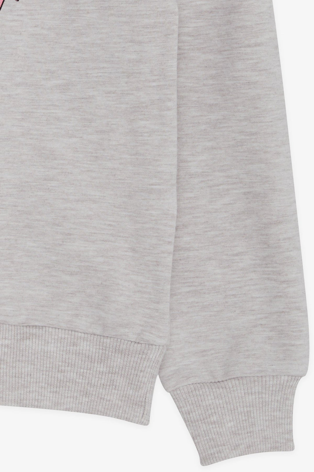 BRE Breeze Girl's Sweatshirt with Glittery Printed Text, 84 Years, Beige Melange - Wyoming