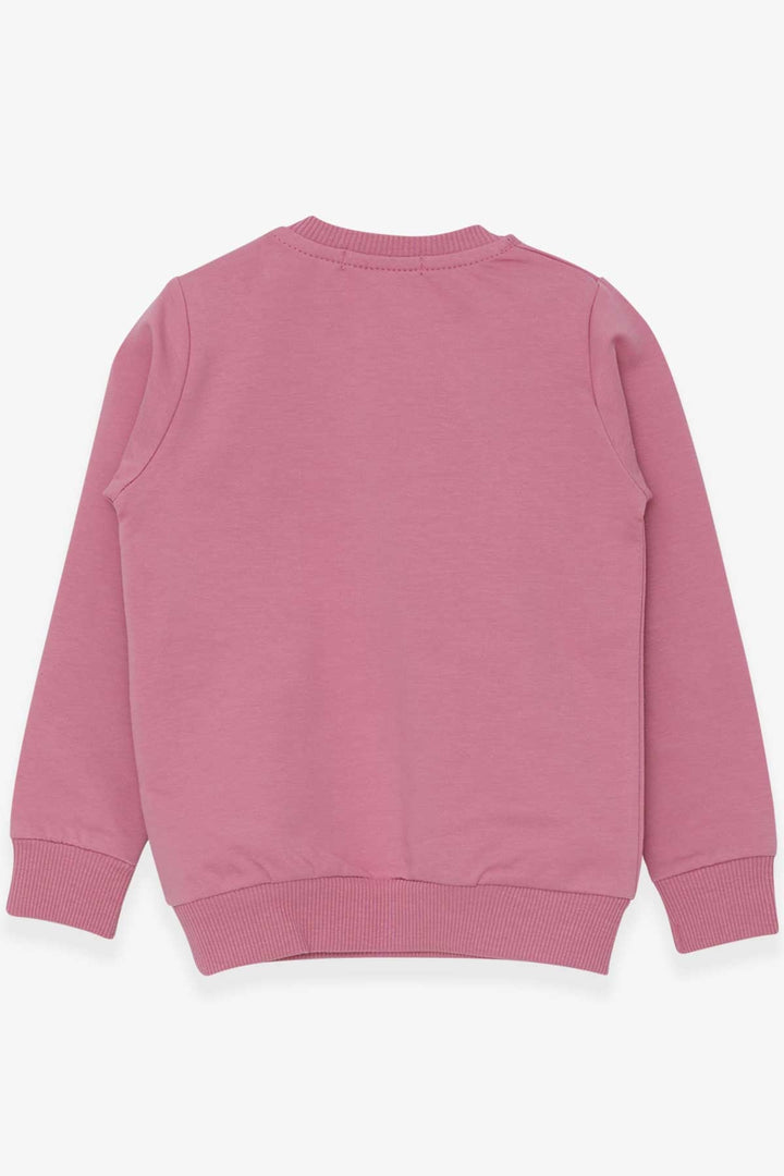 BRE Breeze Girl Child Sweatshirt with Bunny Embroidery Sequins 1.5-5 Years, Rose Pink - Santa Eulalia del Río