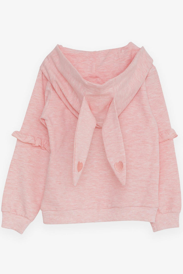 BRE Breeze Girl Child Sweatshirt with Bunny Print, 1.5-5 Years, Salmon Melange - Sugar Land