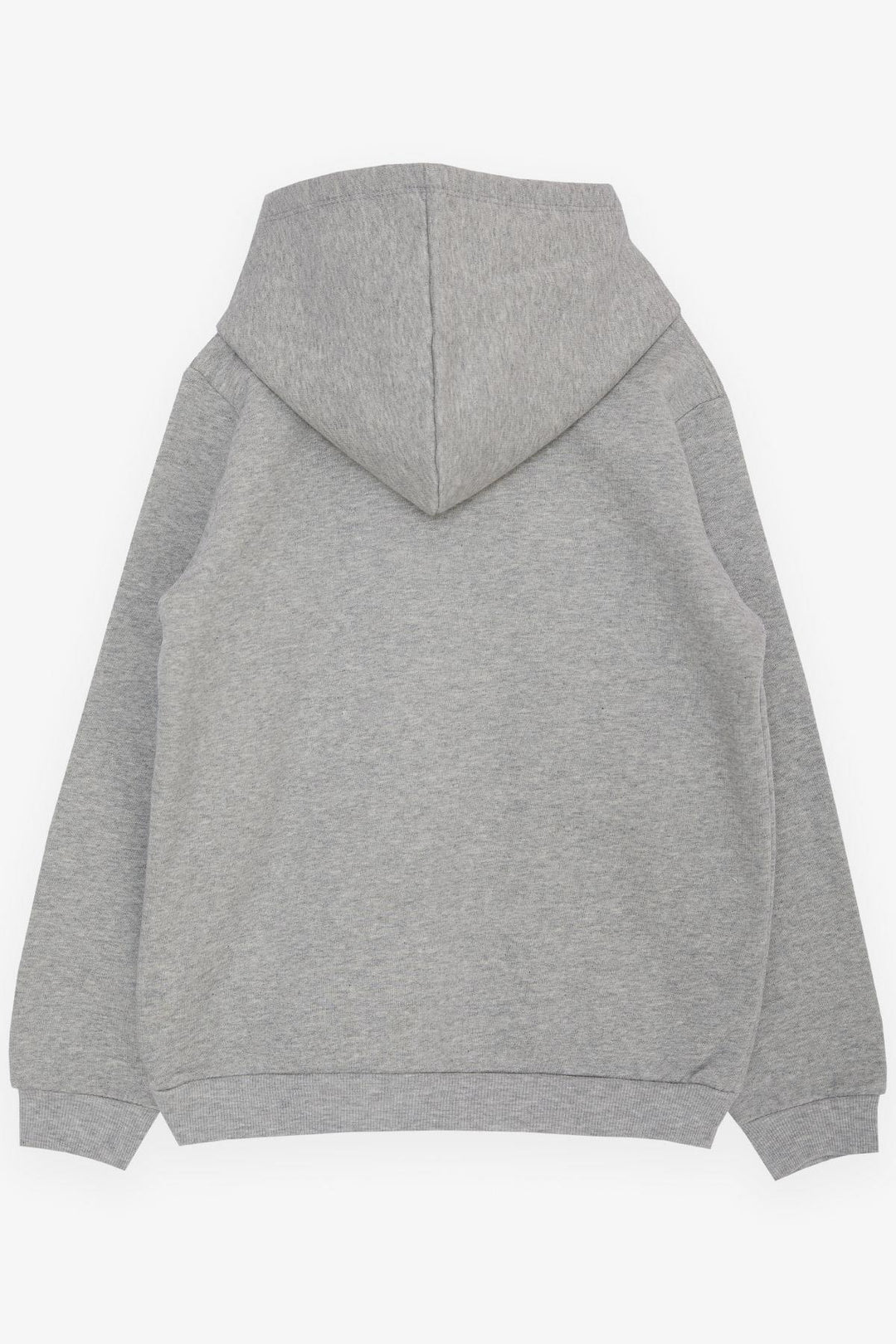 BRE Breeze Girl Child Sweatshirt Tennis Player Girl Embroidered Hooded 4-8 Years, Grey Melange - Rovenky