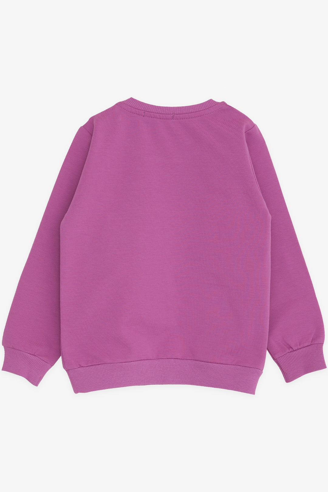 BRE Breeze Girl Child Sweatshirt Unicorn Printed 2-6 Years, Lilac - Lorient