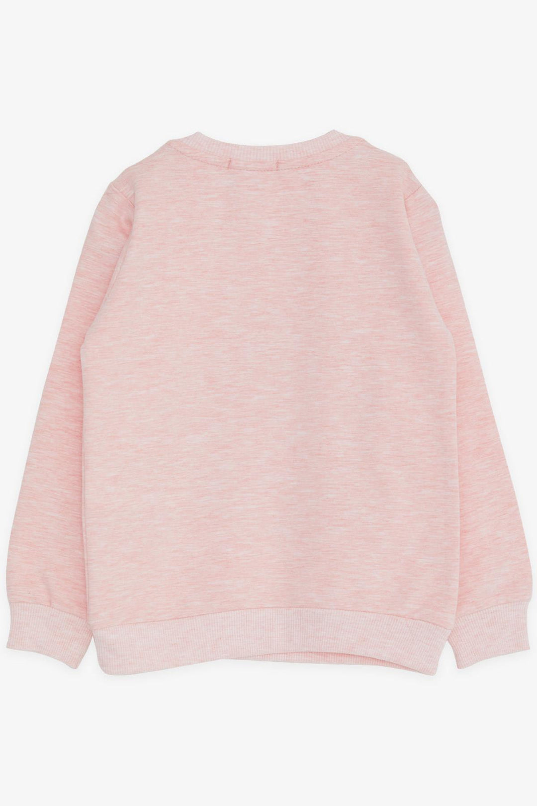 BRE Breeze Girl Child Sweatshirt Unicorn Printed 2-6 Years, Salmon Melange - Kortrijk