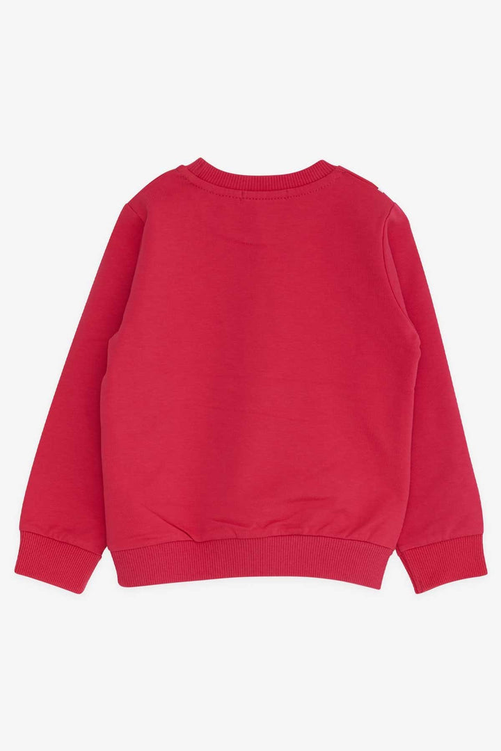 BRE Breeze Girl's Sweatshirt Unicorn 2-6 Years, Fuchsia - Drummondville