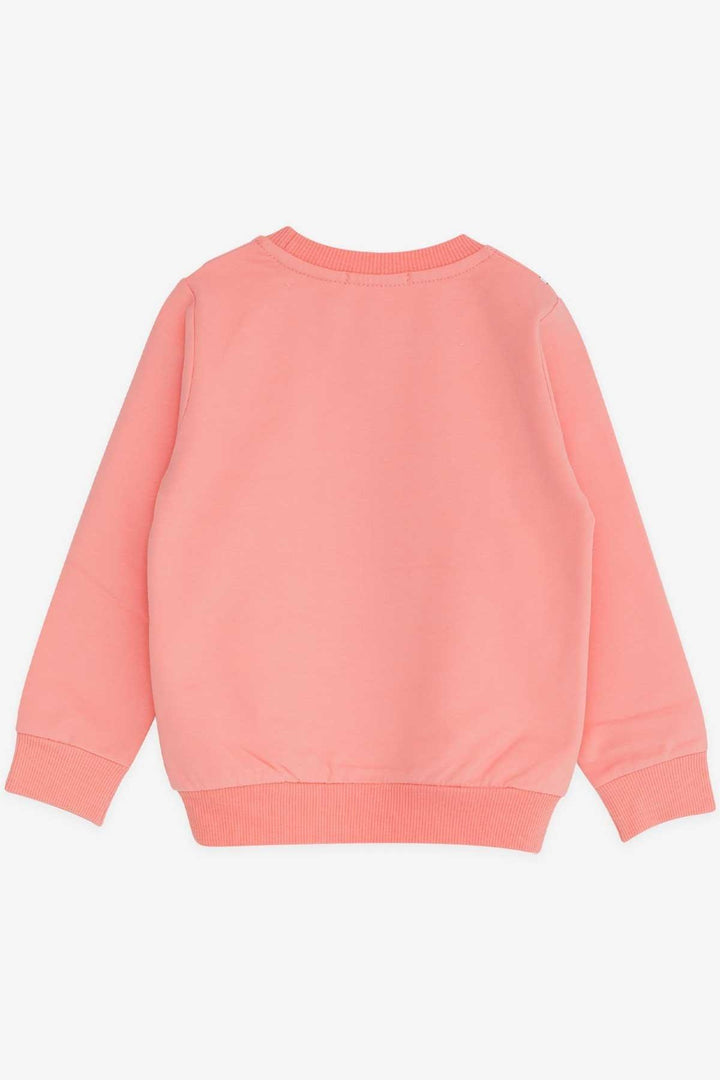 BRE Breeze Girl's Sweatshirt Unicorn 2-6 Years, Salmon - Ciudad Benito Juárez