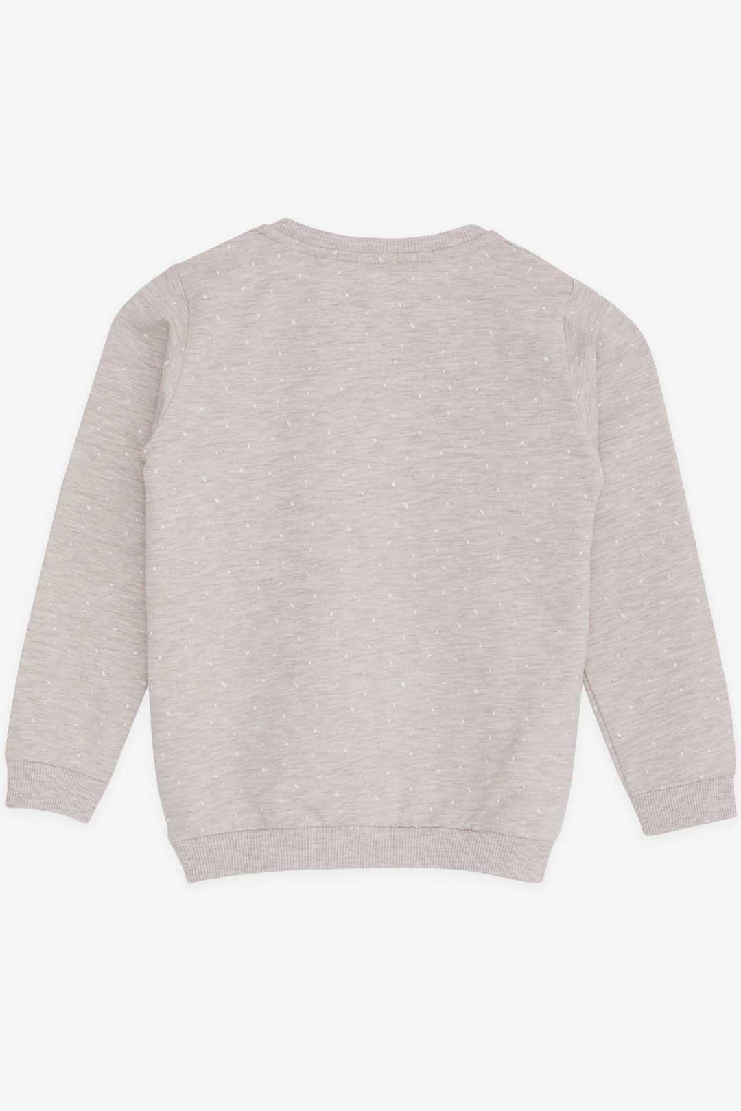 BRE Breeze Girl Child Sweatshirt Printed Patterned 3-7 Years, Beige Melange - Warren