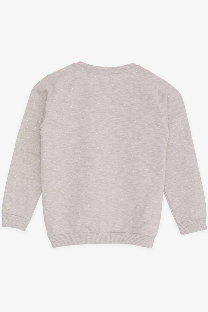 BRE Breeze Girl Child Sweatshirt Printed Patterned 3-7 Years, Beige Melange - Warren