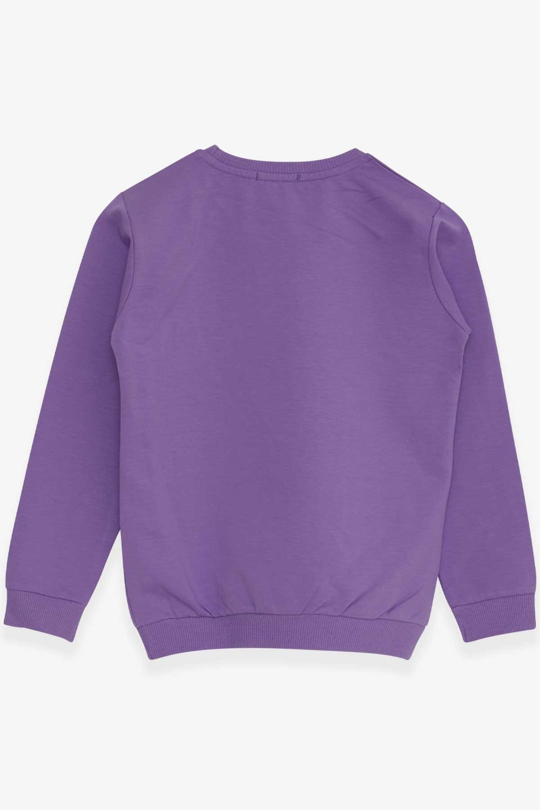 BRE Breeze Girl's Sweatshirt with Printed Sequins 84 Years, Lilac - Gjakovë