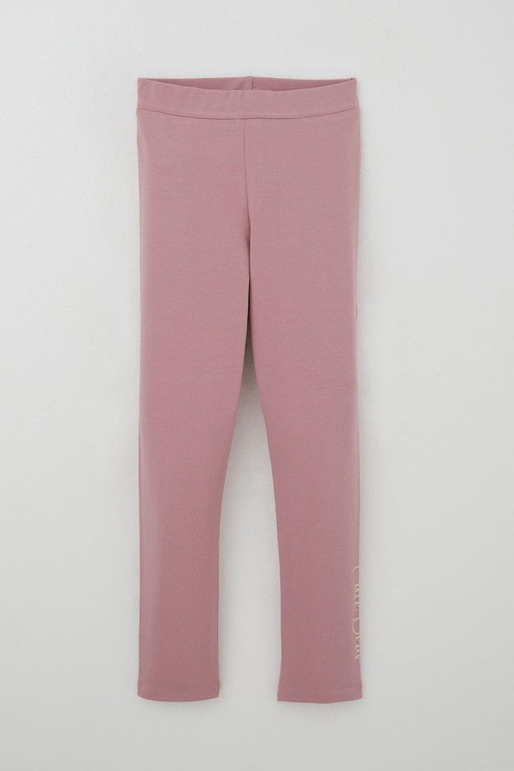 BRE Breeze Girl Child Leggings Set Queen of Flowers Cute Bear Printed 50 Years, Beige - Mandurah