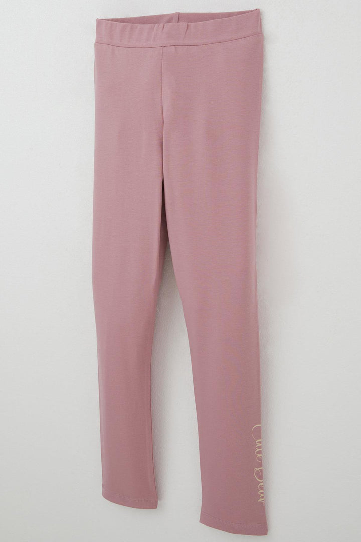 BRE Breeze Girl Child Leggings Set Queen of Flowers Cute Bear Printed 50 Years, Beige - Mandurah