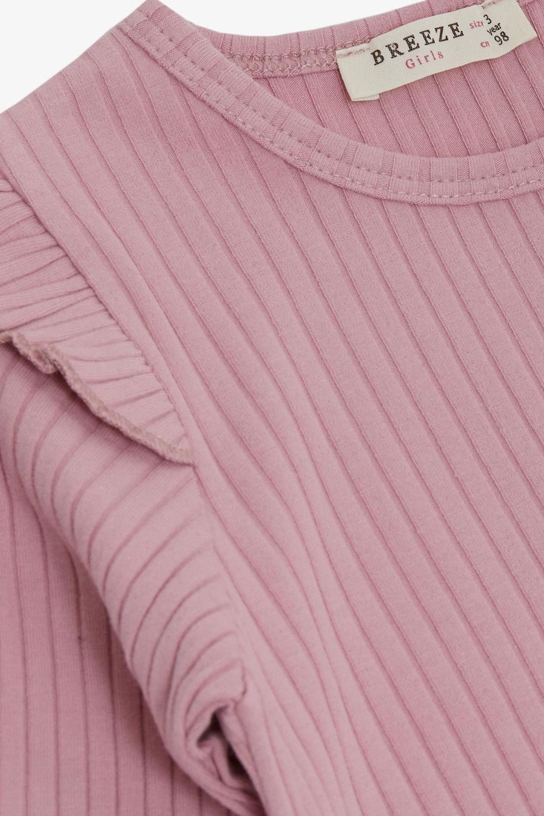 BRE Breeze Girl Child Leggings Set with Butterfly Embroidery and Printed Writing, 2-6 Years, Lilac - Hillsborough