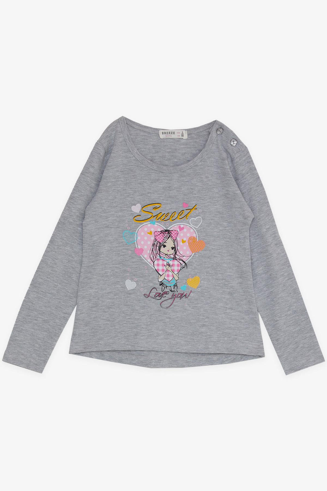 BRE Breeze Girl Child Leggings Set Cute Girl Printed Heart 2-6 Years, Grey Melange - Lynchburg