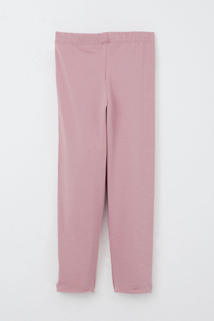 BRE Breeze Girl Child Leggings Set Cute Bear Embroidered Sequined 1.5-5 Years, Ecru - Medicine Hat