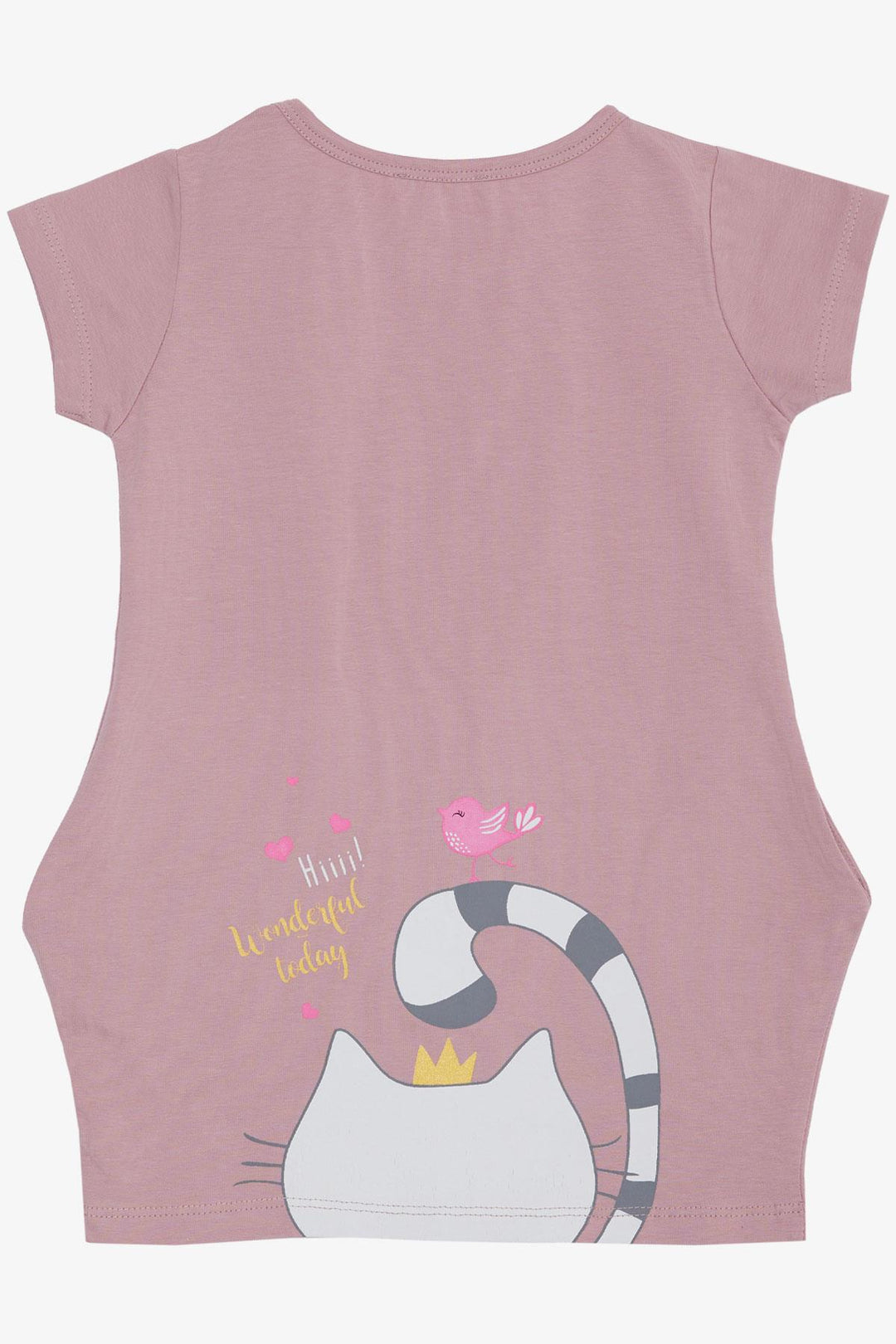 BRE Breeze Girl Child Tunic Dress Friendship Themed Princess Kitty Printed 1.5-5 Years, Rose Pink - Lugano