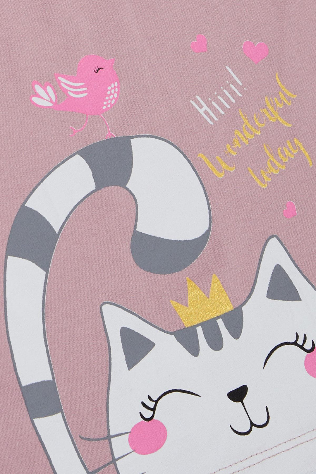 BRE Breeze Girl Child Tunic Dress Friendship Themed Princess Kitty Printed 1.5-5 Years, Rose Pink - Lugano