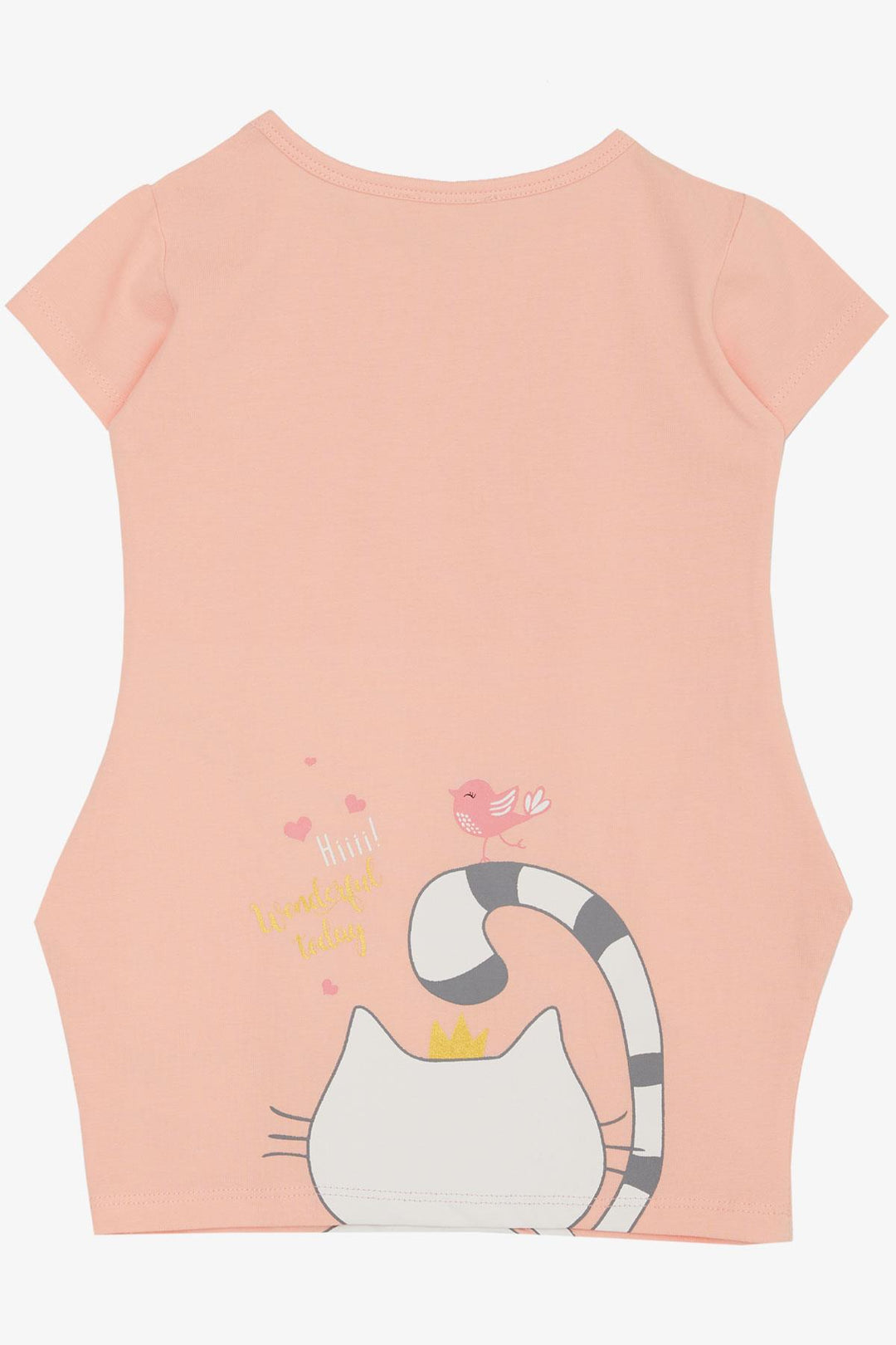 BRE Breeze Girl Child Tunic Dress Friendship Themed Princess Kitty Printed 1.5-5 Years, Salmon - Hoboken