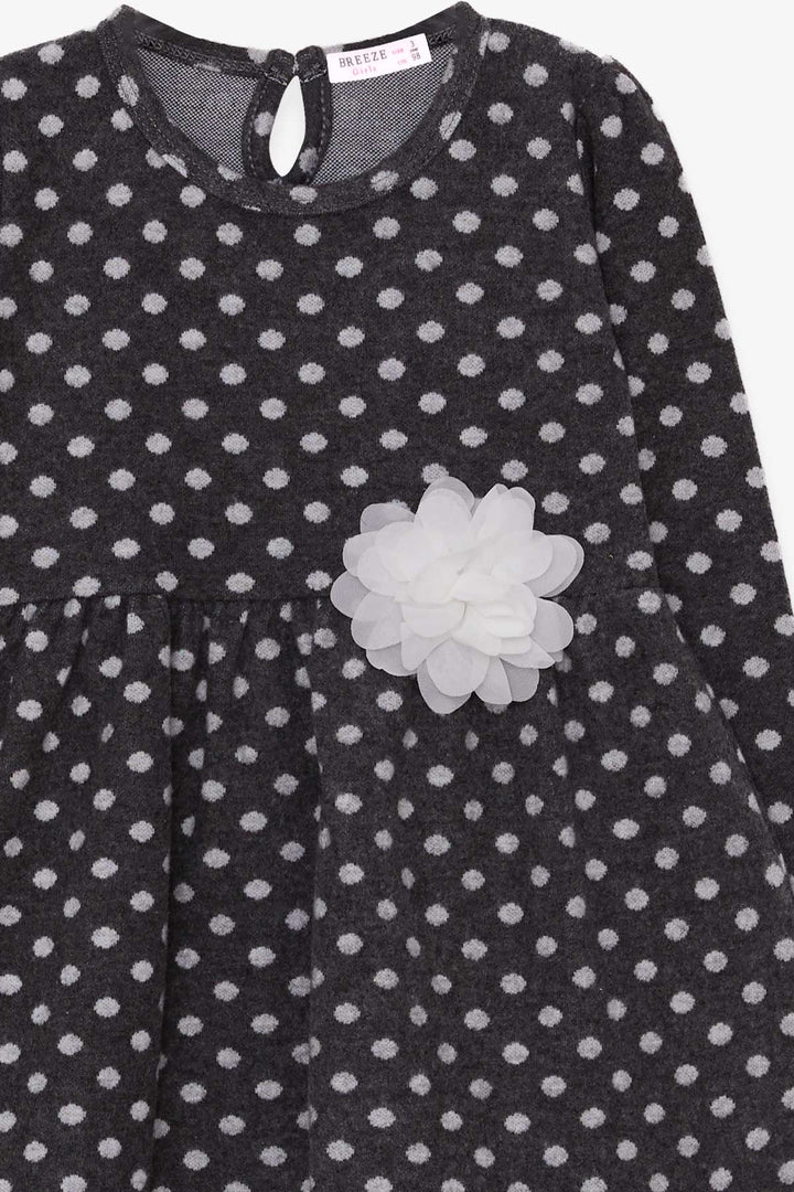 BRE Breeze Girl Child Long Sleeve Dress Polka Dot White Floral 3-7 Years, Anthracite - College Park