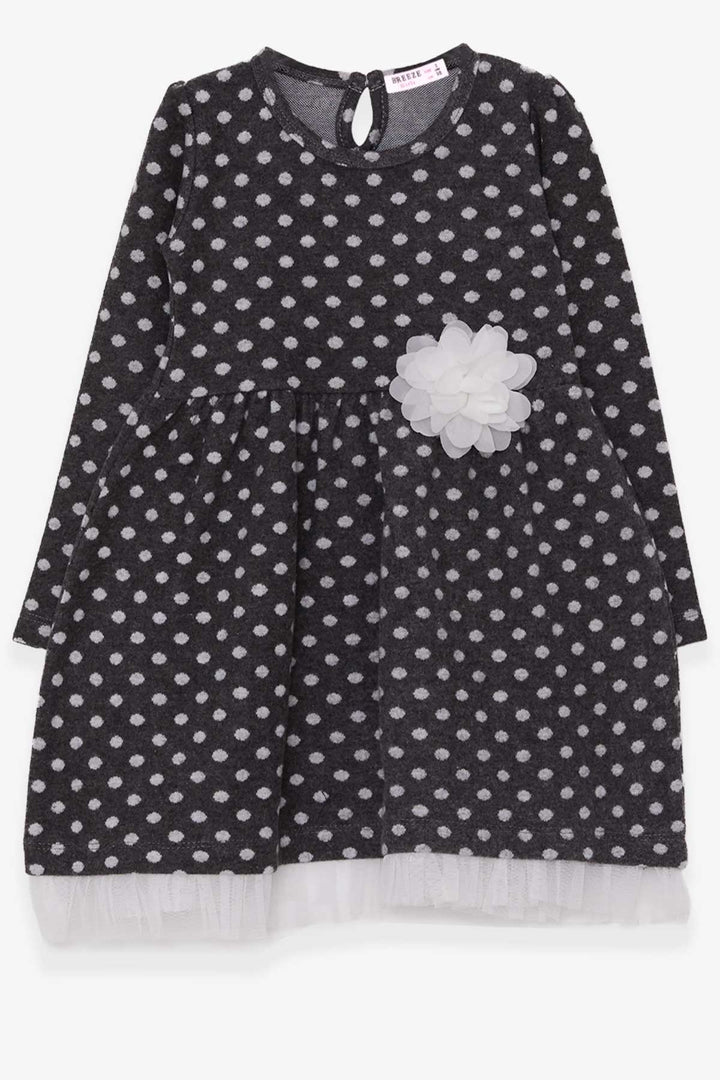 BRE Breeze Girl Child Long Sleeve Dress Polka Dot White Floral 3-7 Years, Anthracite - College Park