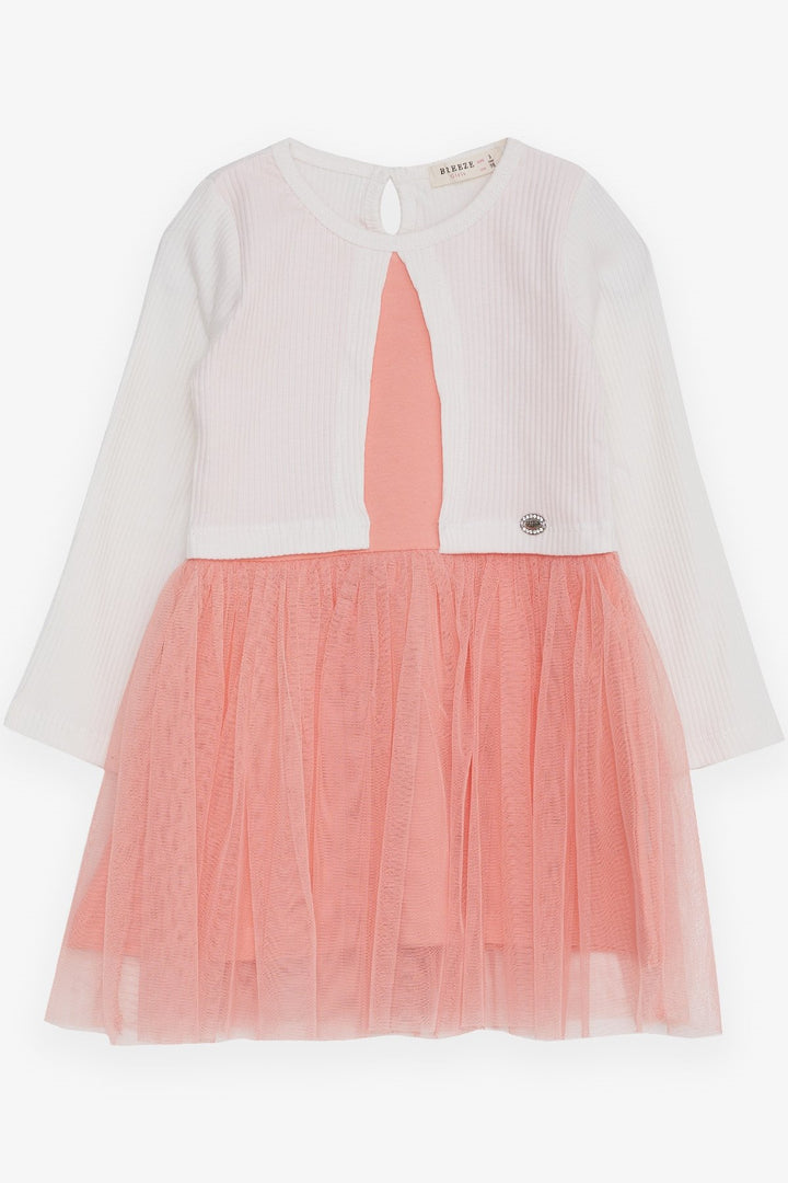 BRE Breeze Girl Child Long Sleeve Dress Tulle 3-8 Years, Ecru - Richmond