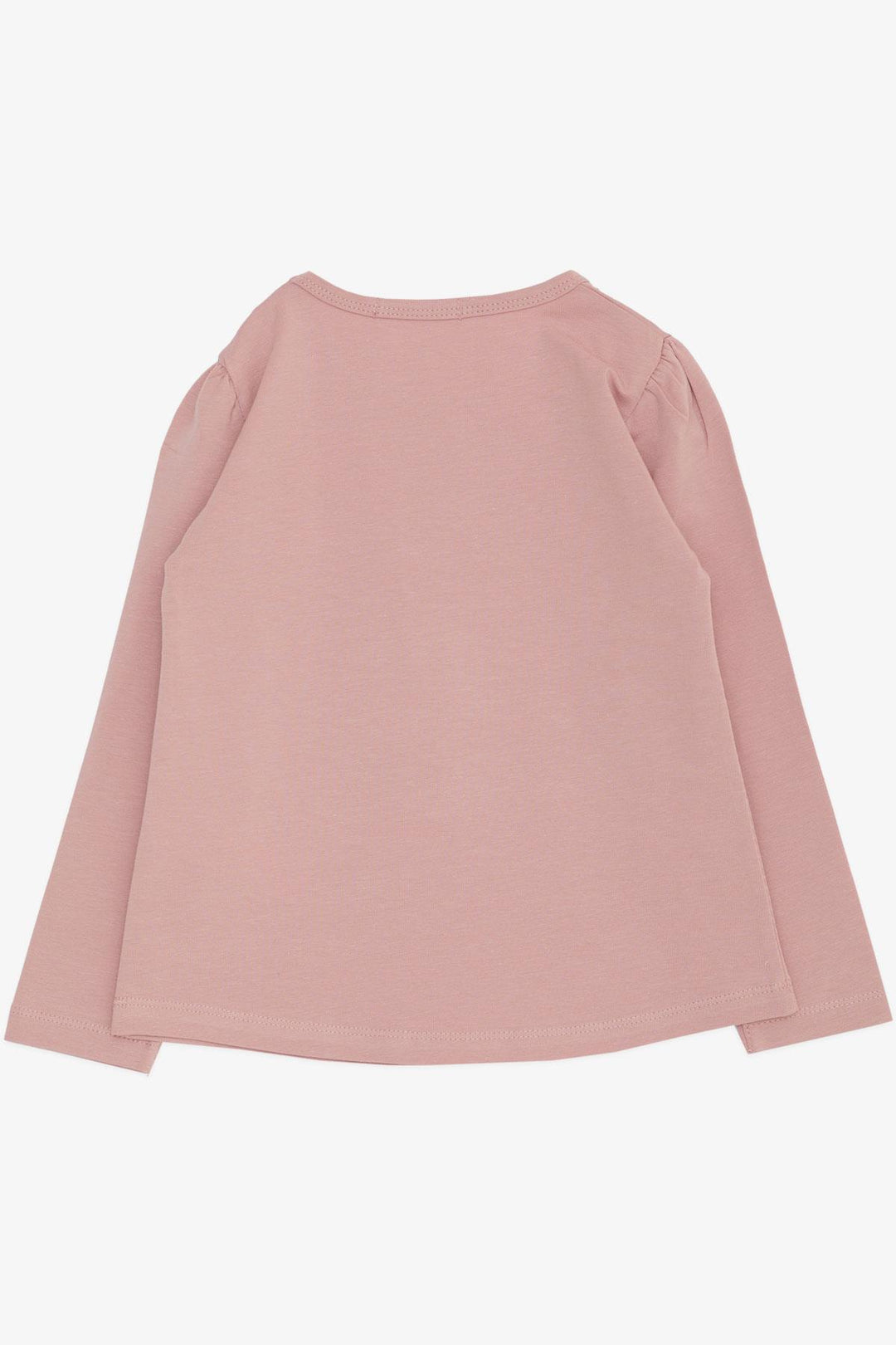 BRE Breeze Girl Child Long Sleeve T-shirt Friendship Themed Dancer Girl Printed 2-6 Years, Pink - Oakland