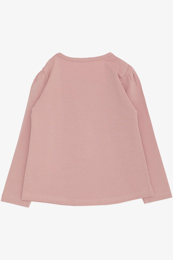 BRE Breeze Girl Child Long Sleeve T-shirt Friendship Themed Dancer Girl Printed 2-6 Years, Pink - Oakland