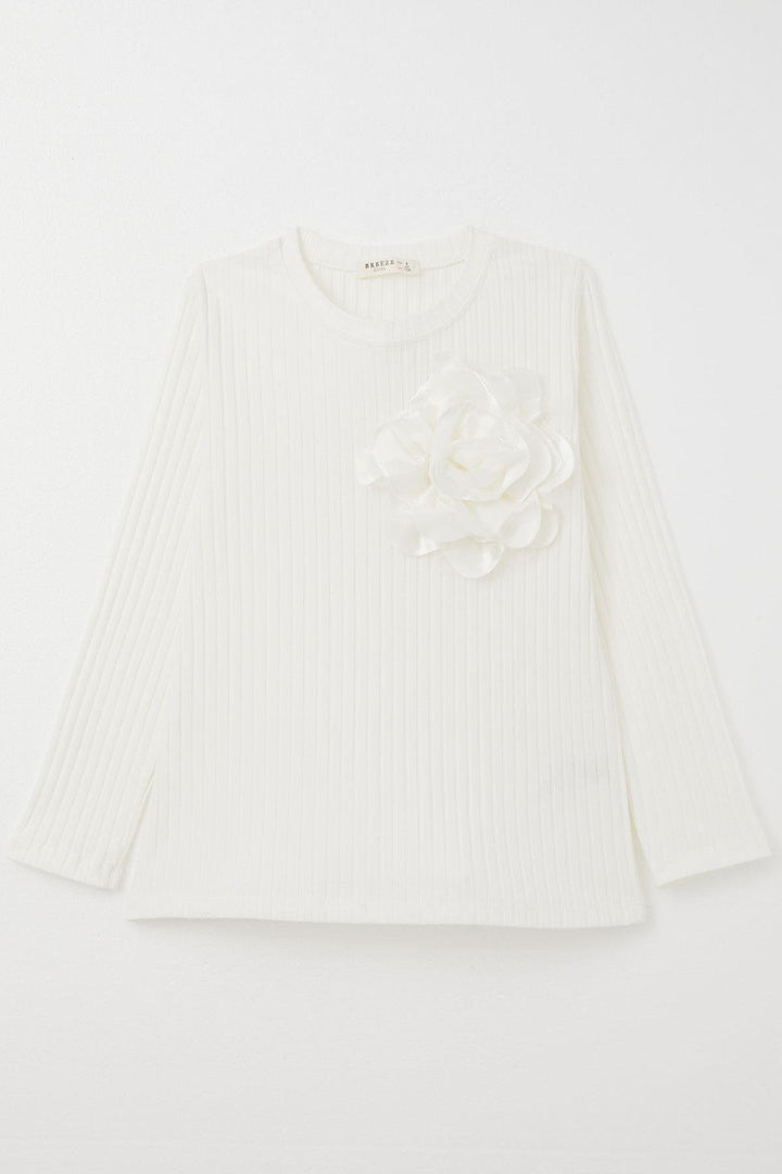 BRE Breeze Girl Child Long Sleeve T-Shirt with Rose Accessory, 84 Years, Ecru - Albuquerque