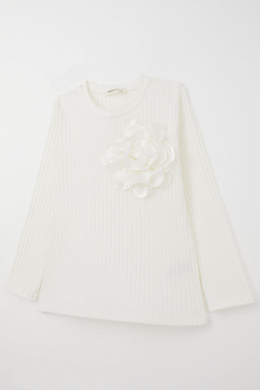 BRE Breeze Girl Child Long Sleeve T-Shirt with Rose Accessory, 84 Years, Ecru - Albuquerque