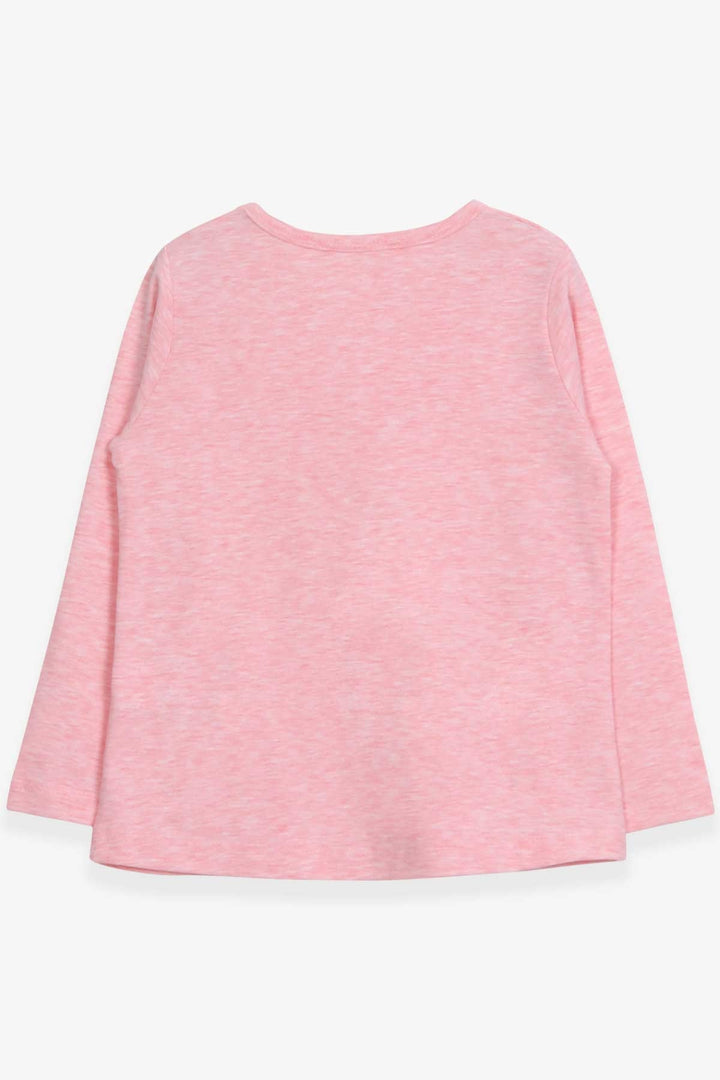 BRE Breeze Girl Child Long Sleeve T-Shirt with Lace 2-6 Years, Salmon Melange - Schwerin