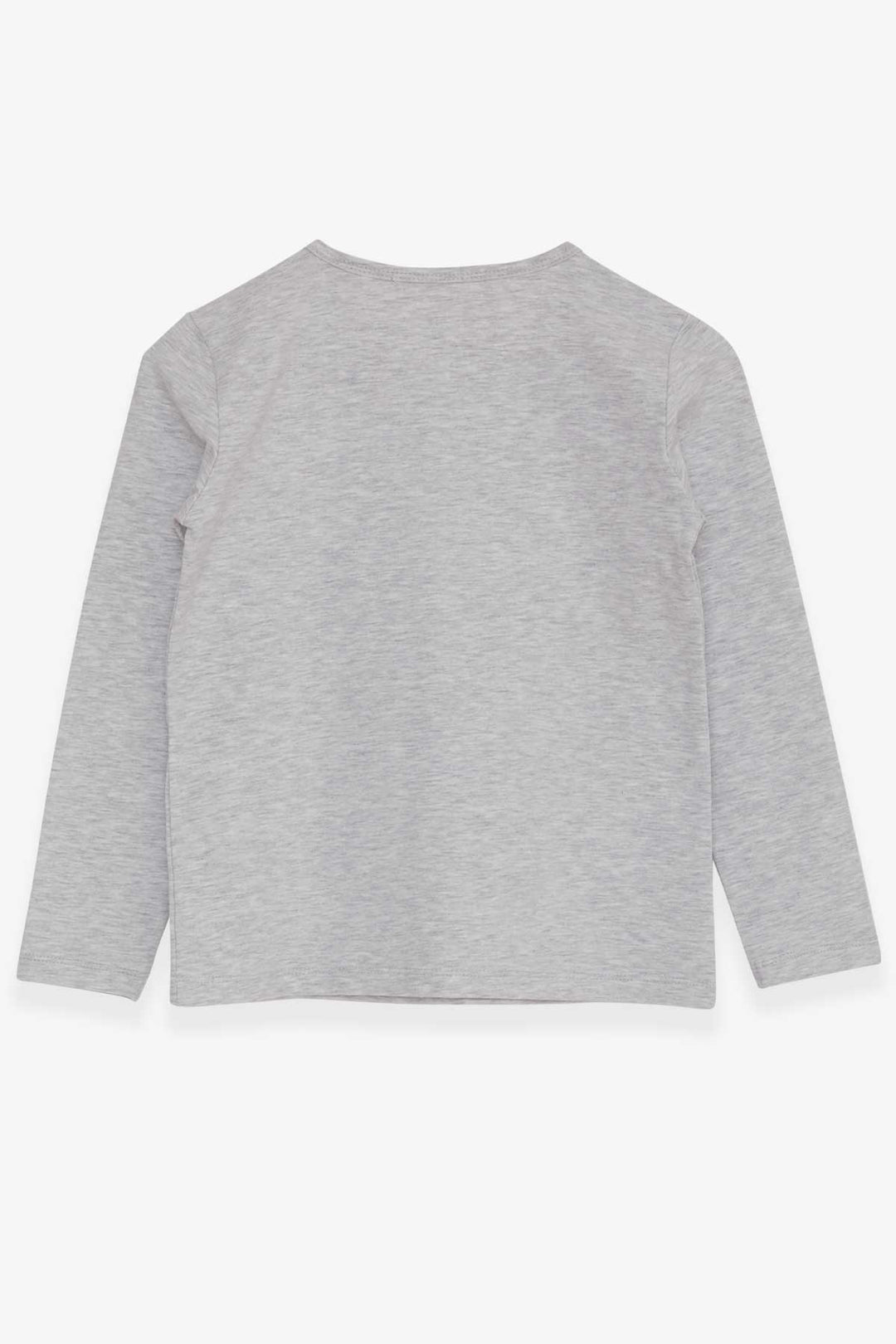 BRE Breeze Girl Child Long Sleeve T-Shirt with Heart Embroidery 82 Years, Light Grey Melange - Sunrise
