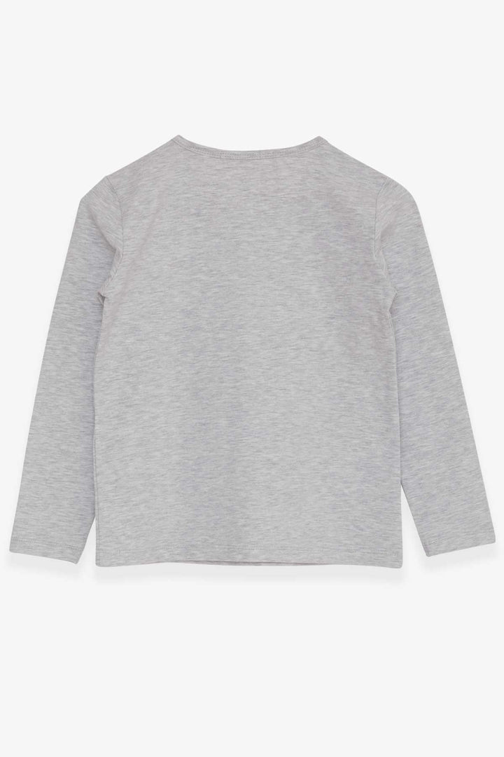 BRE Breeze Girl Child Long Sleeve T-Shirt with Heart Embroidery 82 Years, Light Grey Melange - Sunrise