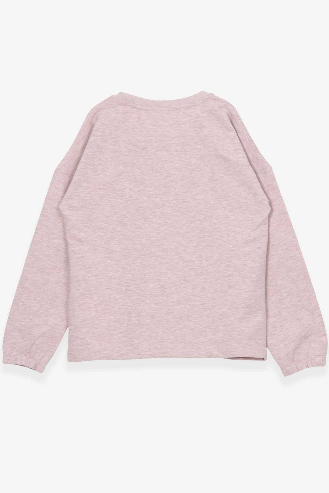 BRE Breeze Girl Child Long Sleeve T-Shirt Portrait Girl Printed 104 Years, Beige Melange - Worcester