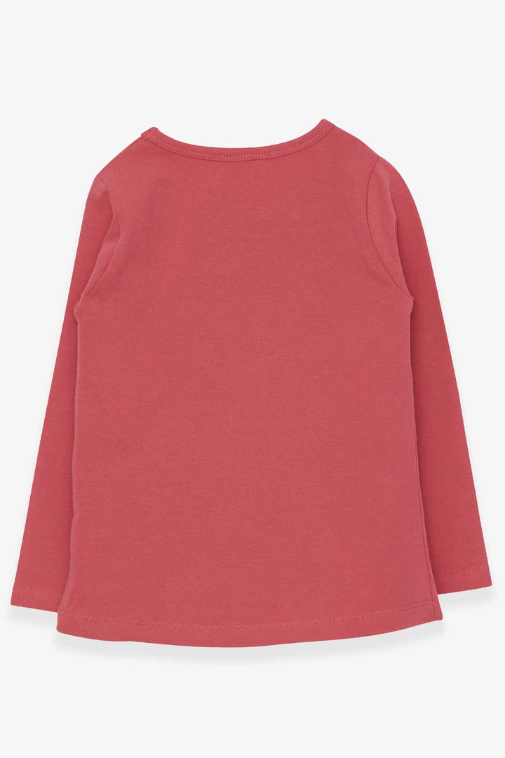 BRE Breeze Girl Child Long Sleeve T-Shirt Sequined Unicorn 4-8 Years, Pink - Xico
