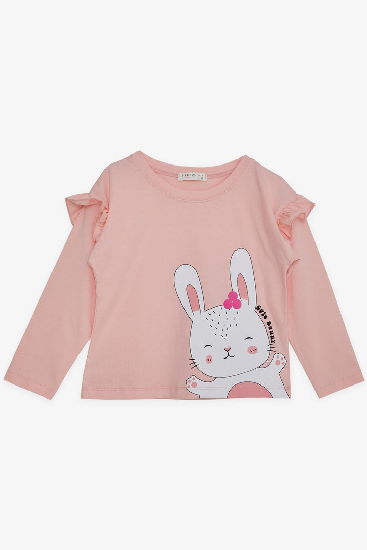 BRE Breeze Girl Child Long Sleeve T-Shirt Cute Bunny Printed Shoulder Ruffled 1-4 Years, Pink - Lower Hutt