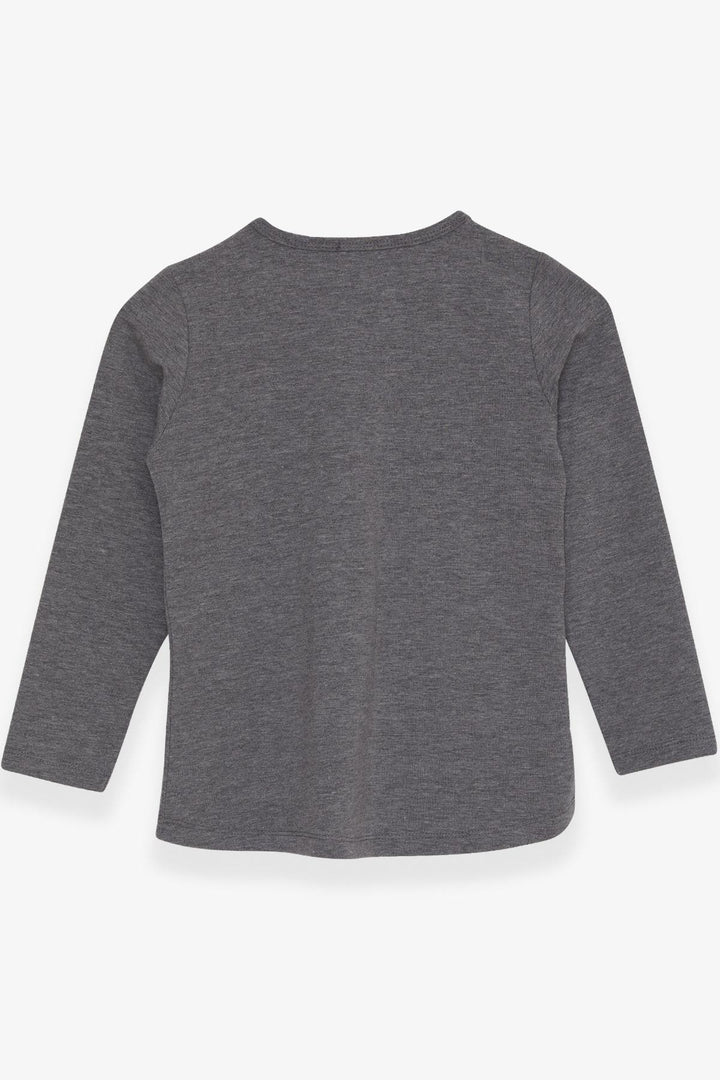 BRE Breeze Girl Child Long Sleeve T-Shirt with Stone Printed Writing 62 Years, Dark Grey Melange - Roswell