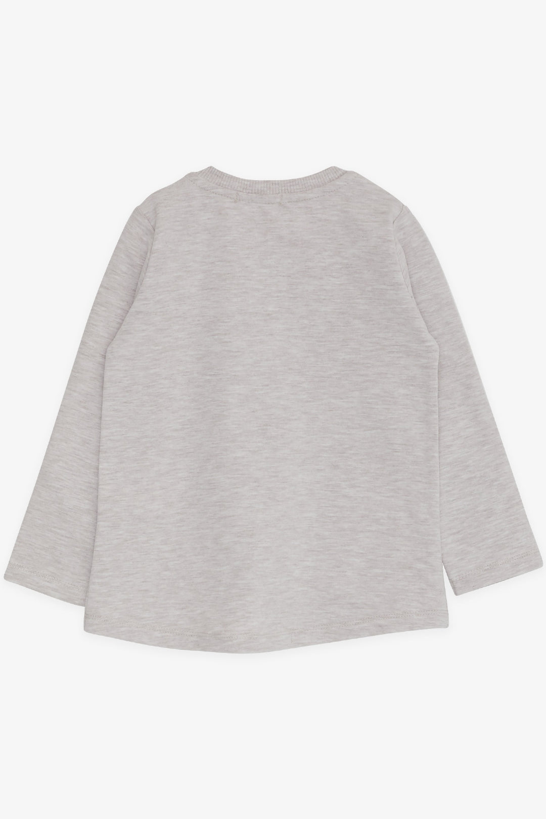 BRE Breeze Girl Child Long Sleeve T-Shirt Unicorn Printed 1.5-5 Years, Beige Melange - Pesaro