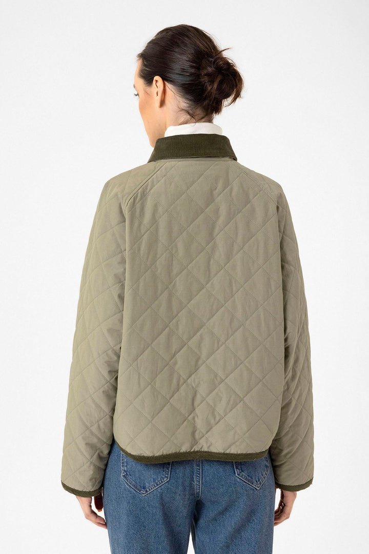 ANT Antioch Haki Women's Quilted Jacket with Polo Collar - Lawrence