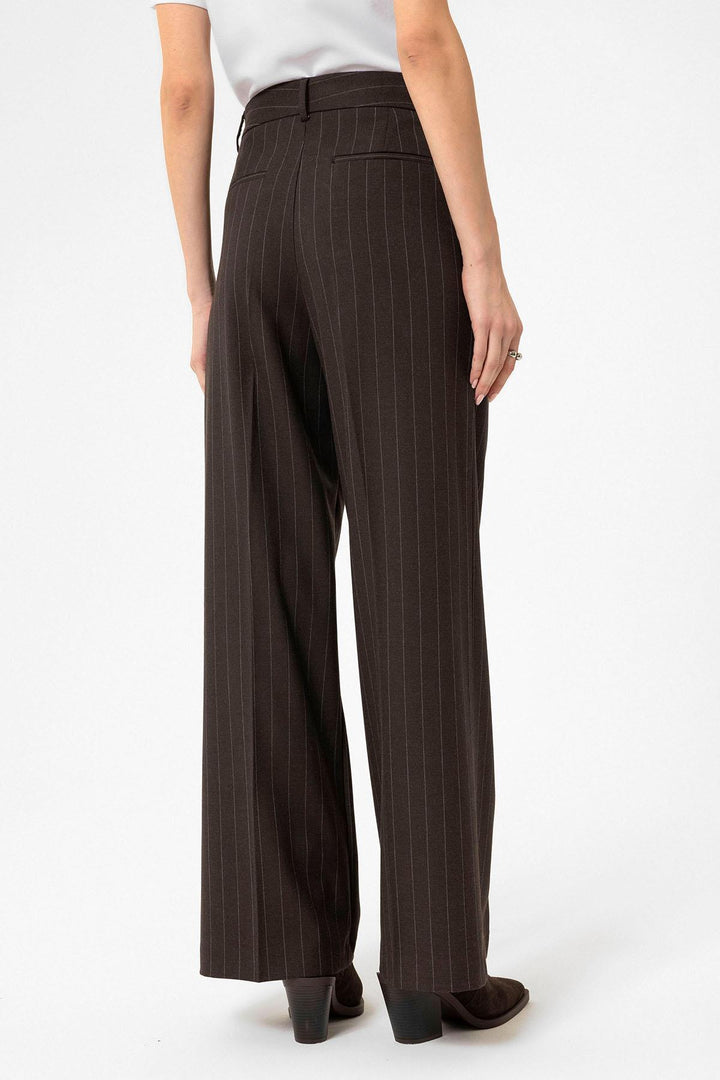 ANT Antioch Coffee Women's High Waist Pleated Striped Pants - Snizhne