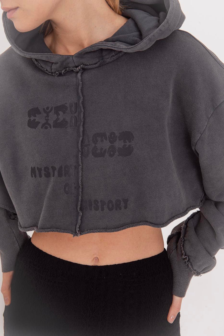 BSL Women Hooded Printed Crop Sweatshirt - Huehuetoca