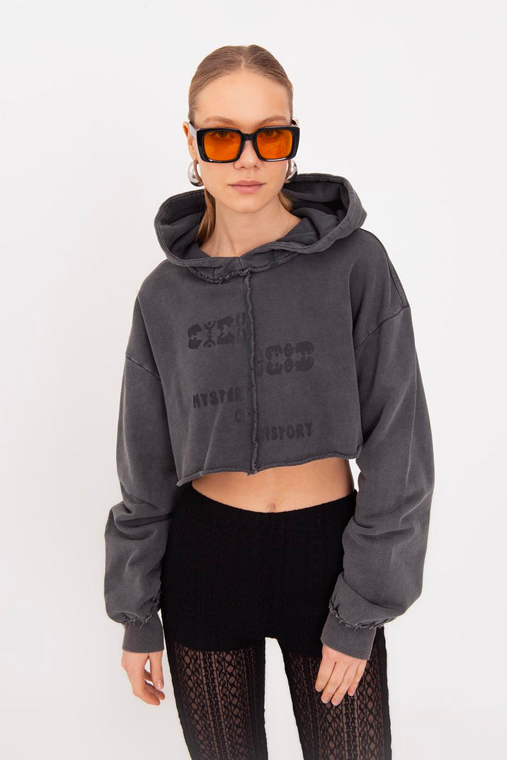 BSL Women Hooded Printed Crop Sweatshirt - Huehuetoca
