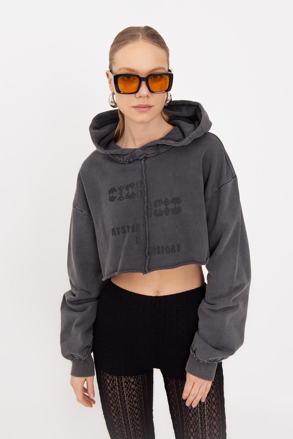 BSL Women Hooded Printed Crop Sweatshirt - Huehuetoca