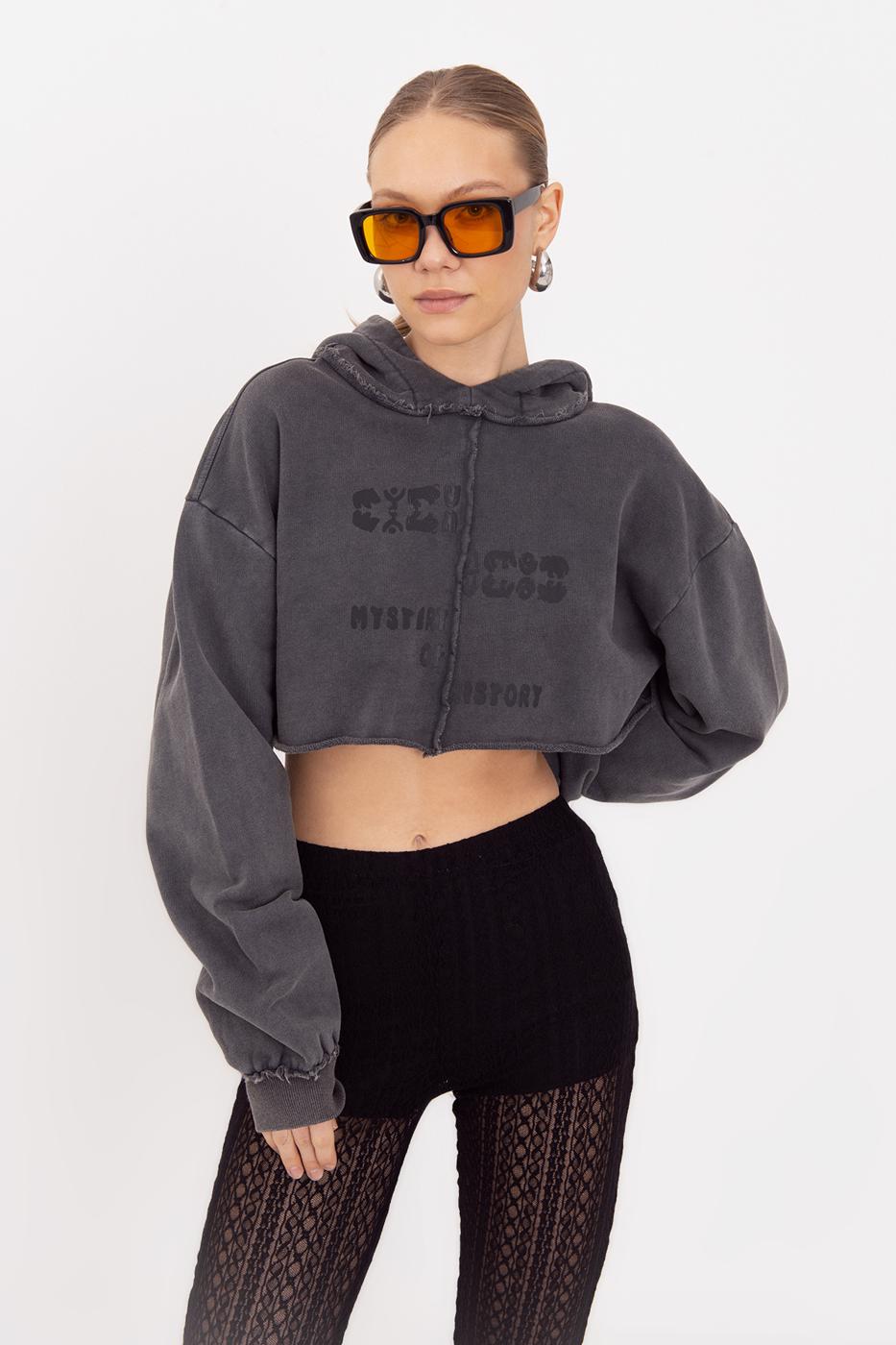 BSL Women Hooded Printed Crop Sweatshirt - Huehuetoca