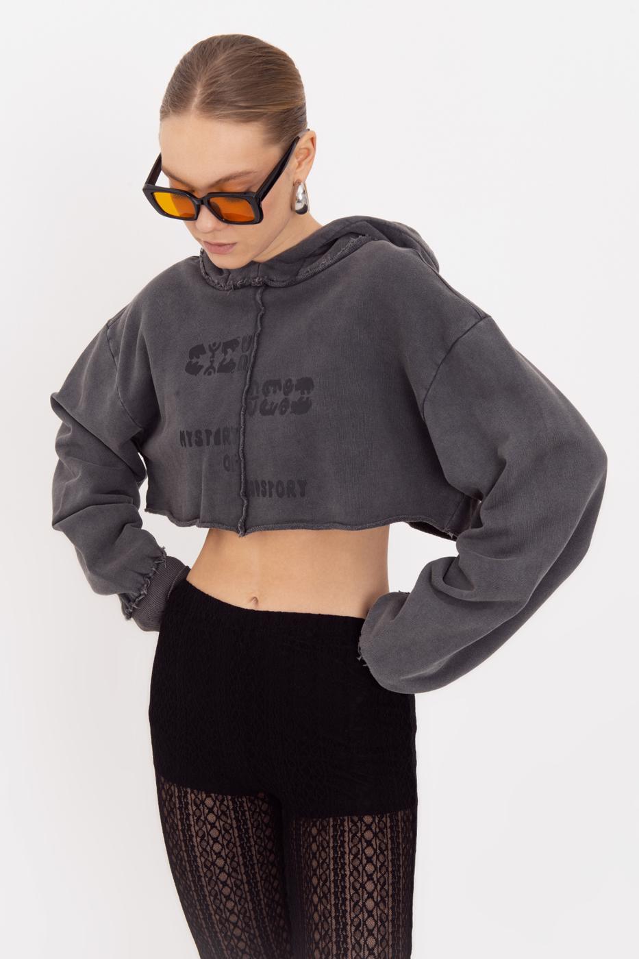 BSL Women Hooded Printed Crop Sweatshirt - Huehuetoca
